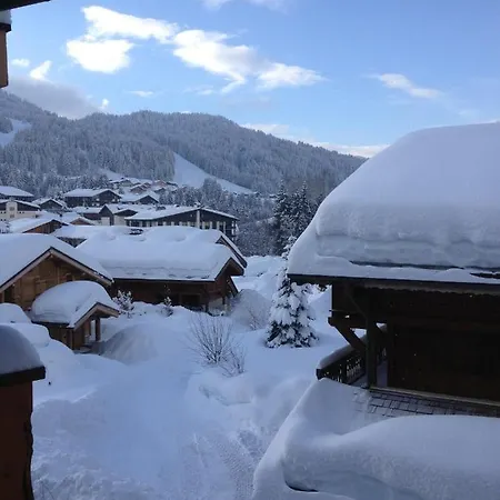 公寓 Les Gets Apartment 莱热