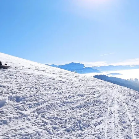 Les Gets Apartment לה ג'ט